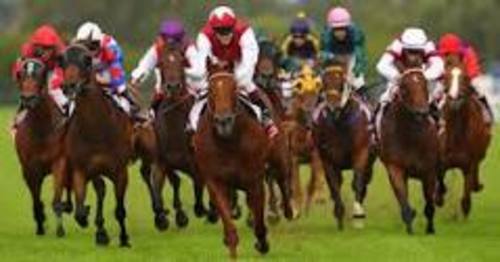 Product picture HORSE  RACING   SOFTWARE